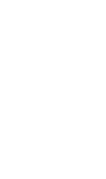 MADE LABS